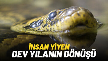 İNSAN YİYEN DEV YILANIN DÖNÜŞÜ