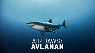 AIR JAWS: AVLANAN
