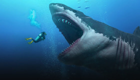 Megalodon hakkında bilmeniz gereken 10 şey Megalodon hakkında bilmeniz gereken 10 şey