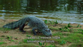 1. Sezon 28. Bölüm 1. Sezon 28. Bölüm