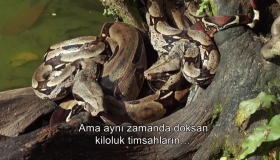2. Sezon 2. Bölüm 2. Sezon 2. Bölüm