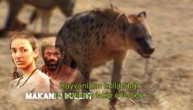 Afrika'da mangal planları Afrika'da mangal planları