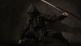 Ninja olabilir misin? Ninja olabilir misin?