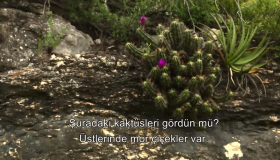Kaktüsün tadına baktılar Kaktüsün tadına baktılar
