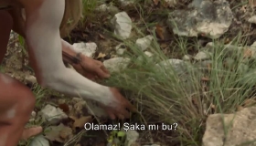 Kaplumbağa yumurtası yediler Kaplumbağa yumurtası yediler