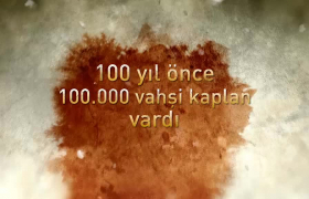 Tanıtım